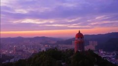 绿肺之殇：观音山毁林背后的多方博弈与治理困局(图文)