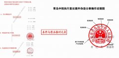 落马高官女婿的空壳公司，如何“合法”夺走一家民企？